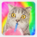 Search for drinking joke stickers Cute