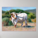 Search for texas longhorn posters Animal