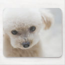 Search for innocent mousepads Cute