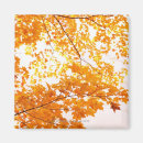Search for back square magnets Usa