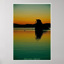 Search for photography posters Green