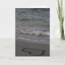 Search for sandpiper cards Photography