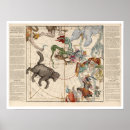 Search for major posters Ursa minor