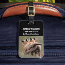Search for tails accessories Canine