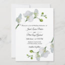 Search for white orchid wedding invitations Chic