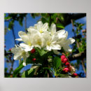 Search for beautiful spring posters China