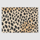 Search for cheetah print tissue paper Wild
