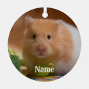 Search for hamster home decor Mouse