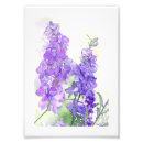 Search for delphinium art Purple