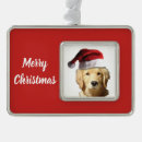 Search for golden retriever christmas tree decorations Santa claus