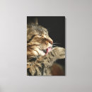 Search for nose canvas prints Indoors