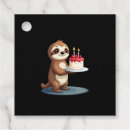 Search for sloth birthday Adorable sloths