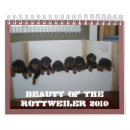 Search for rottweilers calendars Pet