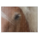 Search for work of photography Equine