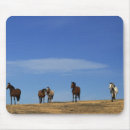 Search for herd mousepads Equine
