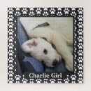 Search for black christmas puzzles Pet