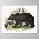 Search for educational posters Animals