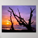 Search for medium format posters Cloud