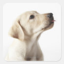 Search for stick dog stickers Animals