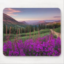 Search for colorado state electronics United states