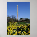 Search for washington monument posters Flowers