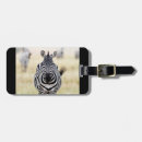 Search for africa photography Zebra