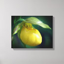 Search for close up canvas prints Photography