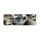 Search for lemur monkey labels Wildlife