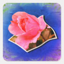 Search for raindrop stickers Nature