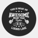 Search for mma fighter stickers Combat conditioning