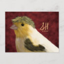 Search for canaries postcards Canary
