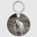 Search for boxer key rings Canine