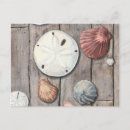 Search for teal background postcards Sea