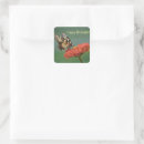 Search for zinnia stickers Orange