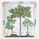 Search for bush gear stickers 15th