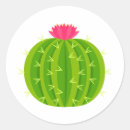 Search for cactus flower stickers Plant