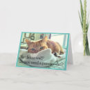 Search for tabby cards Photography