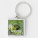 Search for bubble wrap key rings Green