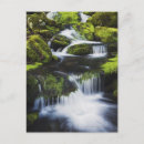 Search for stream photography Water