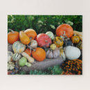 Search for harvest puzzles Pumpkin