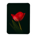 Search for single magnets Flower