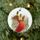 Search for paradise christmas tree decorations bird
