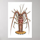 Search for a bugs life posters Nature