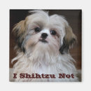 Search for shihtzu Funny