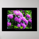 Search for pirate posters Flowers