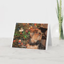 Search for yorkie christmas cards Winter
