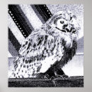 Search for owl lovers posters Birds