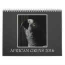 Search for parrot calendars African grey parrot