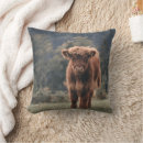 Search for scottish cushions Highland cow