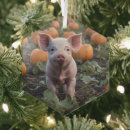 Search for piglet christmas tree decorations Animal